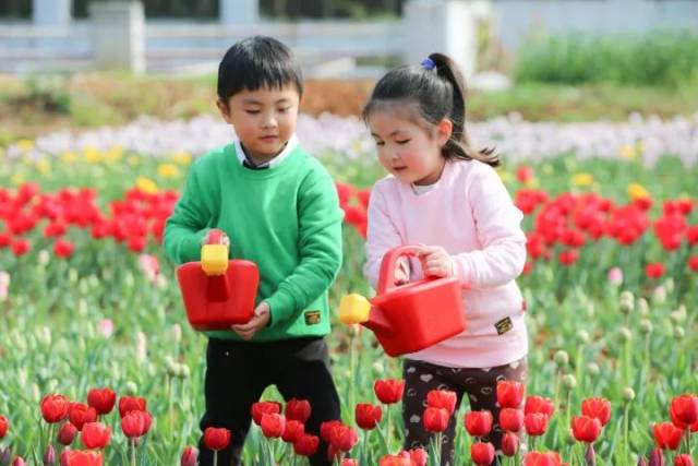 关中诡事之雾隐藏棺