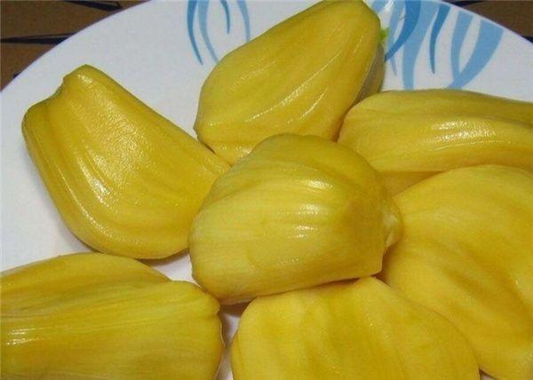 公主代理人续篇：第一章