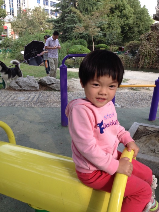 兵王归来之孤狼行动