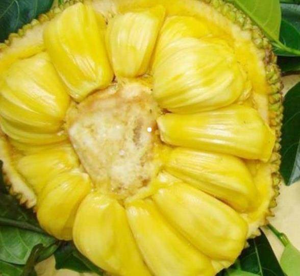 凯文·哈特：黑人历史指南