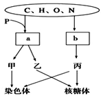 八星报喜1988 粤语版