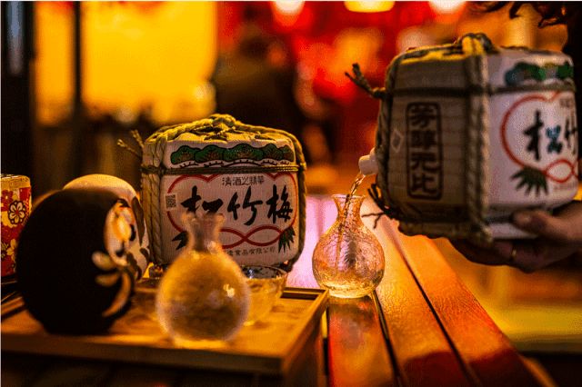 八侍卫之王者天下